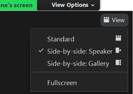 viewoptions